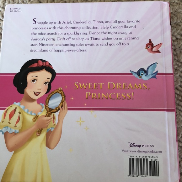 Disney books-A Field Guide to Walt Disney Worlds Secrets PLUS!!! Plus! - Picture 8 of 14
